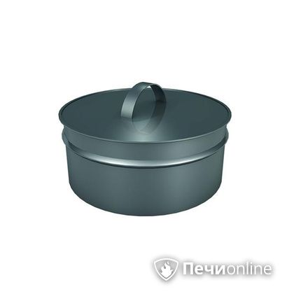 Заглушки Теплов и Сухов Заглушка ревизии Термо-Р 304 0.5 D220(120) в Сочи