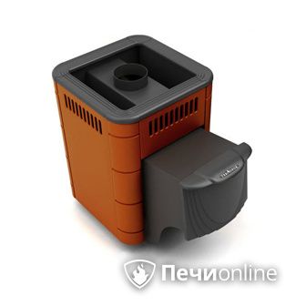 Дровяная банная печь TMF Оса Carbon терракота дверь антрацит в Сочи