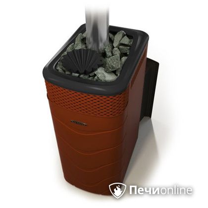 Дровяная банная печь TMF Гейзер XXL 2017 Inox Витра закрытая каменка терракота в Сочи